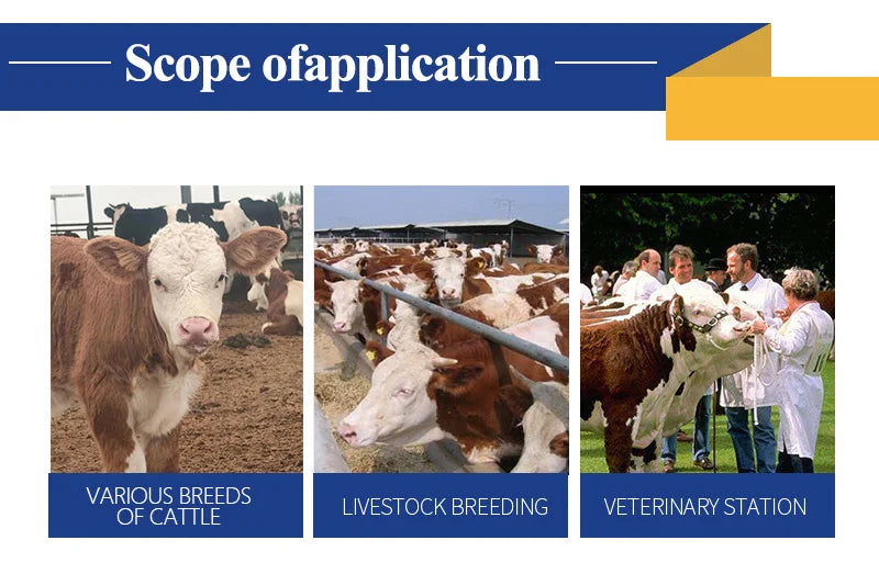 Animal Thermometer Anal Test Fast For Pig Horses Cattle Sheep Pet Rabbit Dog Cat Large Screen Portable Farming Supplies