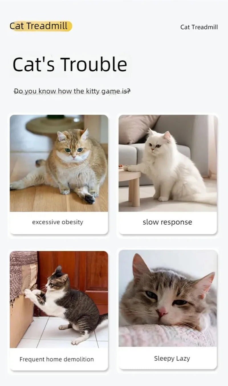 Cat treadmill, pet fitness roller, anti pinch foot exercise, running wheel, cat climbing frame, cat toys, pet supplies