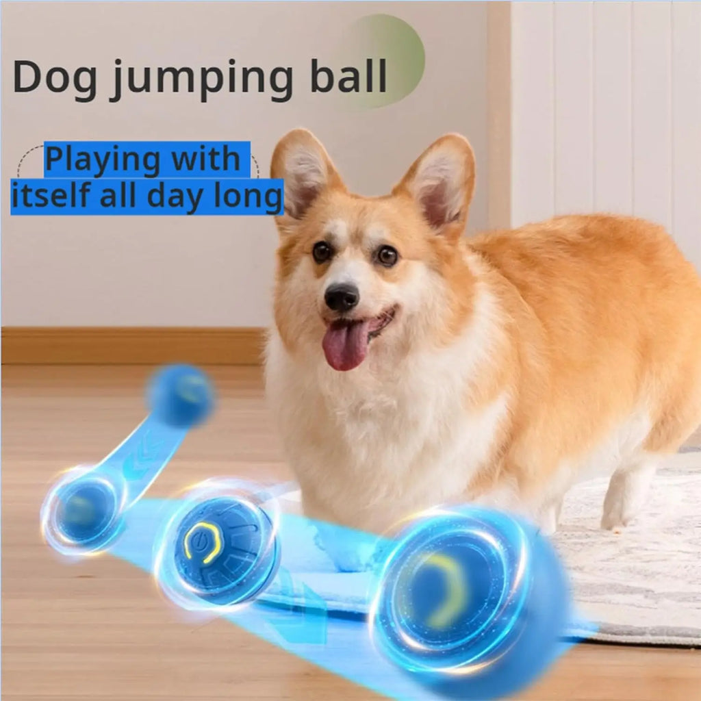 Dog Ball,Automatic Bouncing Ball for Dogs, Puppy Essentials, Vibrating Dog Ball, Dog Birthday, Interactive Dog Toys
