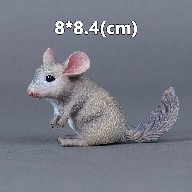Realista Wild Animal Figurines Zoo Wolf Monkey Bat Chameleon Pangolin Squirrel Donkey Horse Action Model Toys for children Gift