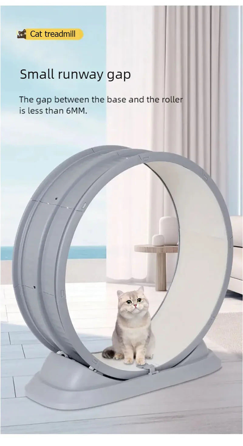 Cat treadmill, pet fitness roller, anti pinch foot exercise, running wheel, cat climbing frame, cat toys, pet supplies
