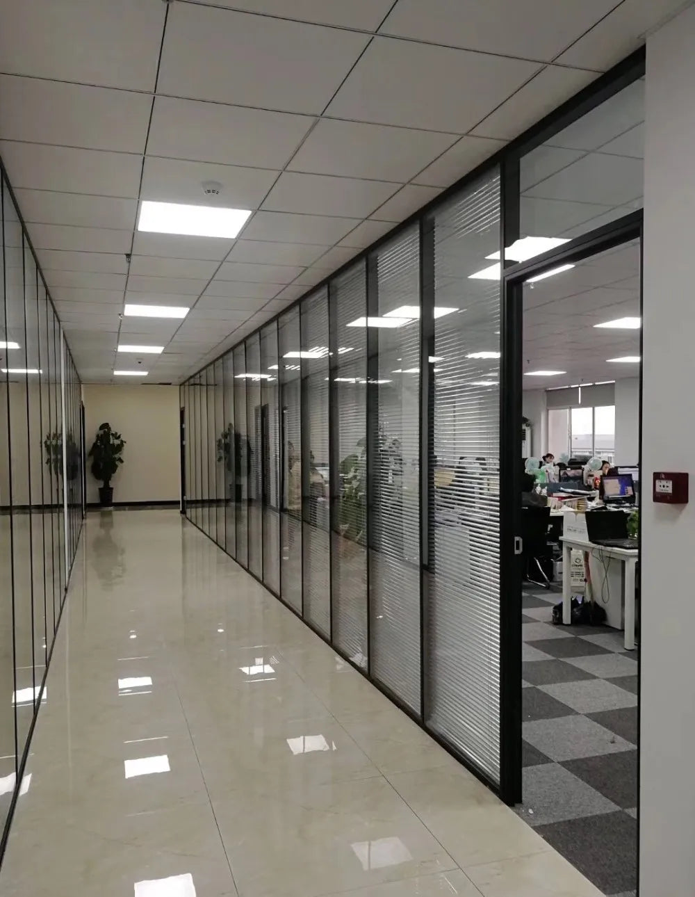 Dog Treadmill For Large Dogs: Indoor & Outdoor Canine Running Machine For Pet Health And Fitness, Doggy Exercise Equipment