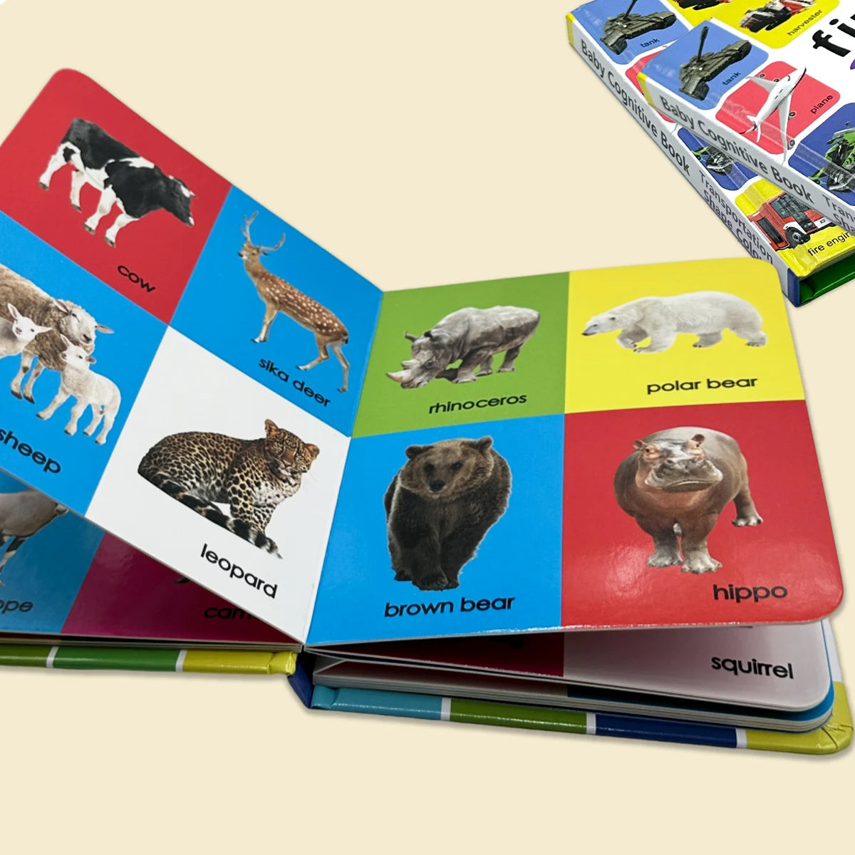 1-100 Animal Species Book Libros Manga Anime Coloring Books Preschool Learning Improves Children's Identification Skills
