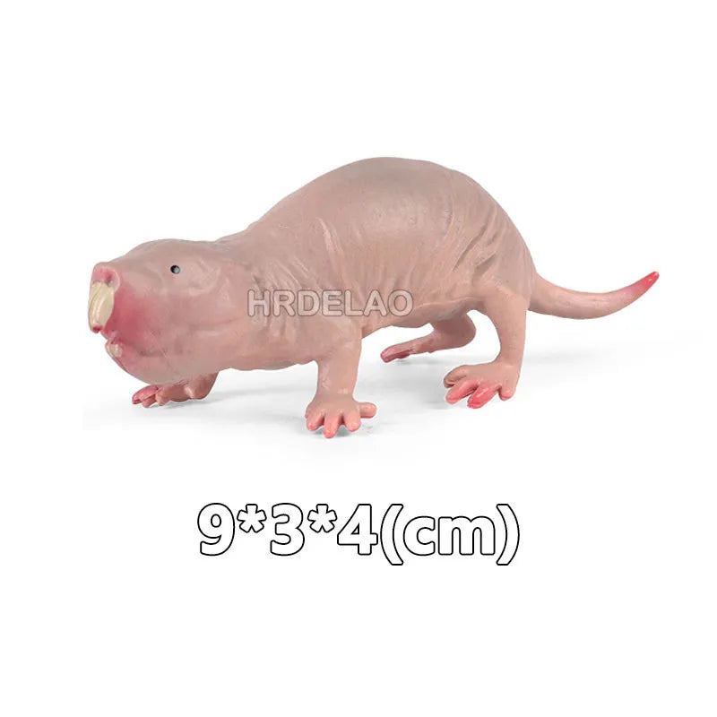 Realista Wild Animal Figurines Zoo Wolf Monkey Bat Chameleon Pangolin Squirrel Donkey Horse Action Model Toys for children Gift