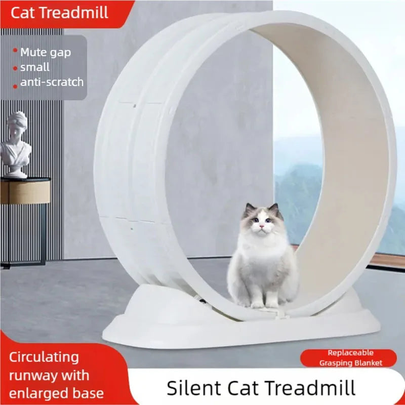 Cat treadmill, pet fitness roller, anti pinch foot exercise, running wheel, cat climbing frame, cat toys, pet supplies
