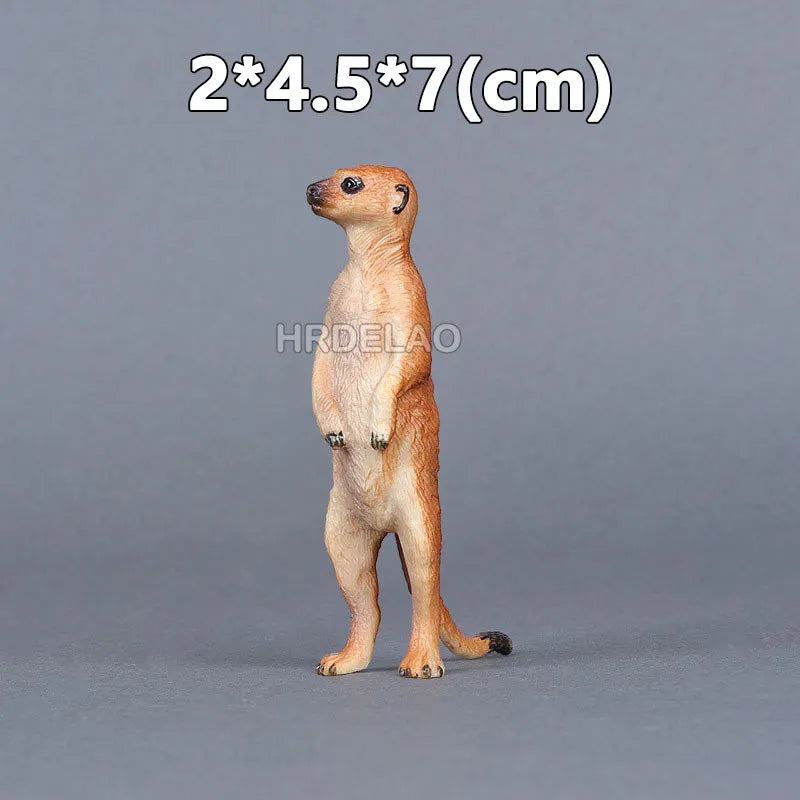 Realista Wild Animal Figurines Zoo Wolf Monkey Bat Chameleon Pangolin Squirrel Donkey Horse Action Model Toys for children Gift