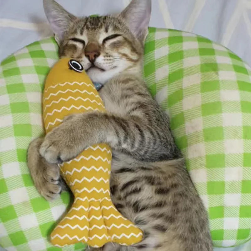 Cat Toys Fish Interactive Cat Toy Cat Chew Toy Simulation Fish Cat Pillow Kitten Exercise Kicker Toys for Indoor Cats Kitty Kit