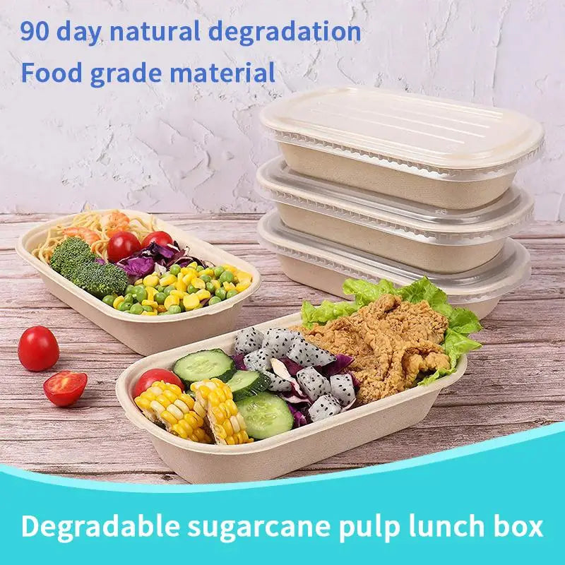 Bio-Degradable Disposable Pulp Salad Box; Quick Removal Fat Reducing Pulp Lunch Container; Light Meal Bento Box