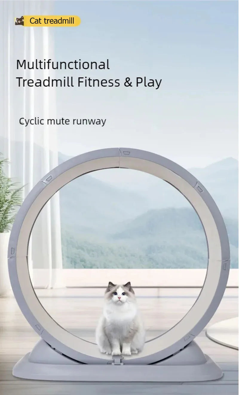 Cat treadmill, pet fitness roller, anti pinch foot exercise, running wheel, cat climbing frame, cat toys, pet supplies