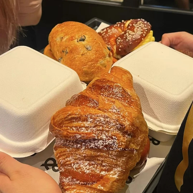 10pcs Disposable packaging box cake packaging box surprise bouquet packaging box bento packaging box hamburger packaging box