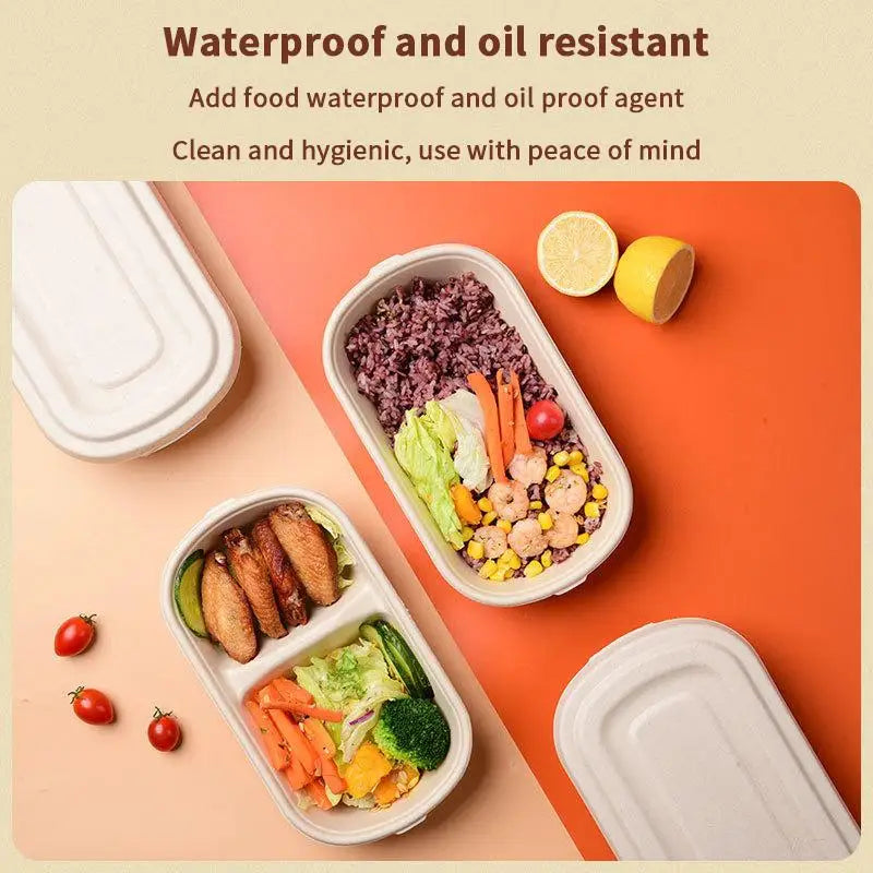 Bio-Degradable Disposable Pulp Salad Box; Quick Removal Fat Reducing Pulp Lunch Container; Light Meal Bento Box